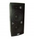 Caja acústica 600W RMS 2X15  1 